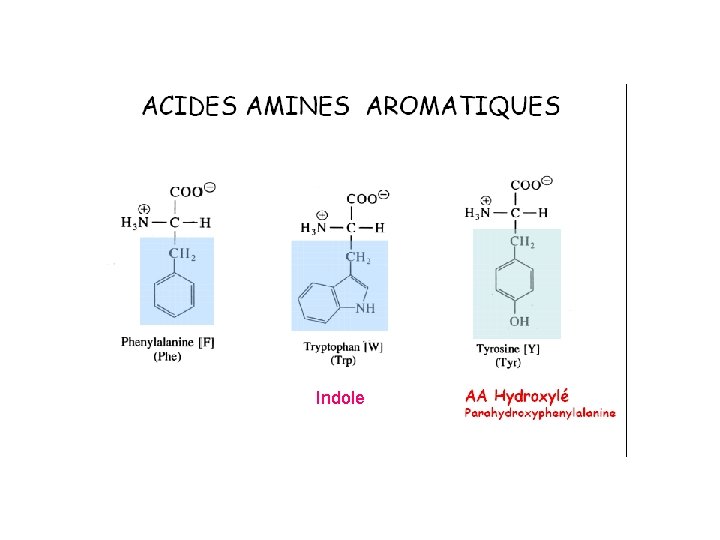 Indole 