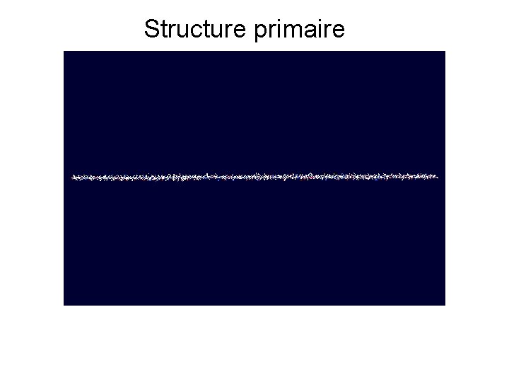 Structure primaire 