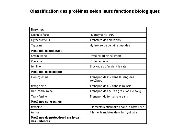 Classification des protéines selon leurs fonctions biologiques Enzymes Ribonucléase Hydrolyse du RNA Cytochrome C