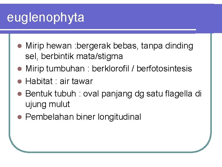 euglenophyta Mirip hewan : bergerak bebas, tanpa dinding sel, berbintik mata/stigma Mirip tumbuhan :