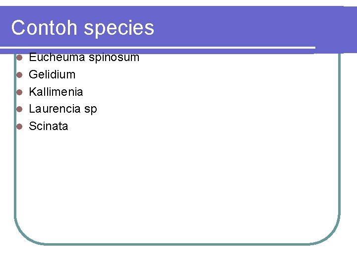 Contoh species Eucheuma spinosum Gelidium Kallimenia Laurencia sp Scinata 