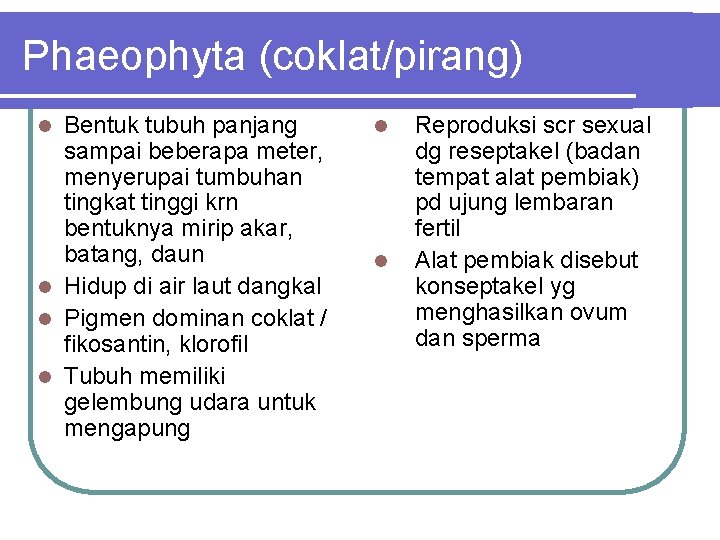 Phaeophyta (coklat/pirang) Bentuk tubuh panjang sampai beberapa meter, menyerupai tumbuhan tingkat tinggi krn bentuknya