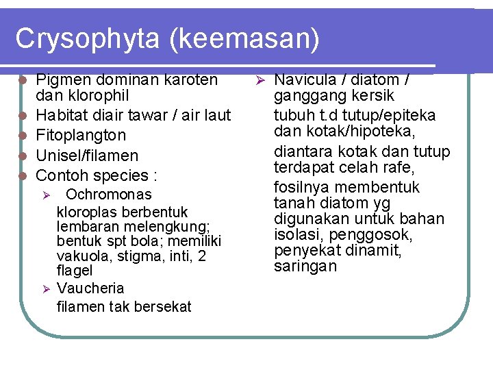 Crysophyta (keemasan) Pigmen dominan karoten dan klorophil Habitat diair tawar / air laut Fitoplangton