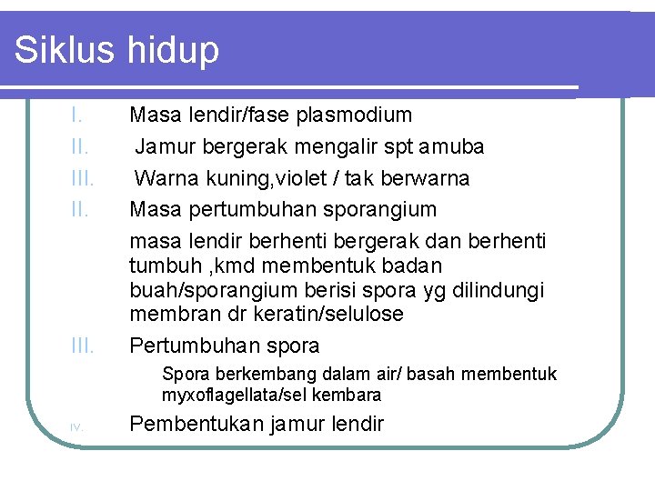 Siklus hidup I. III. Masa lendir/fase plasmodium Jamur bergerak mengalir spt amuba Warna kuning,
