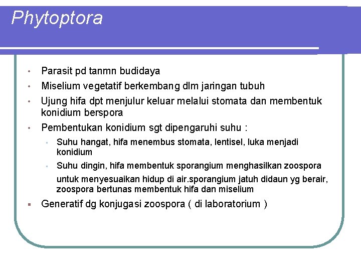 Phytoptora • Parasit pd tanmn budidaya • Miselium vegetatif berkembang dlm jaringan tubuh •