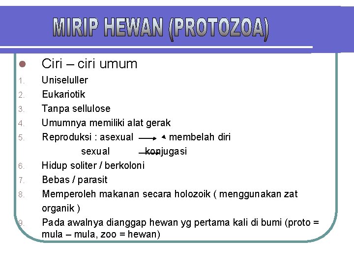  Ciri – ciri umum 1. Uniseluller Eukariotik Tanpa sellulose Umumnya memiliki alat gerak