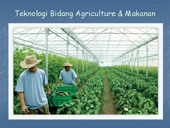 Teknologi Bidang Agriculture & Makanan 
