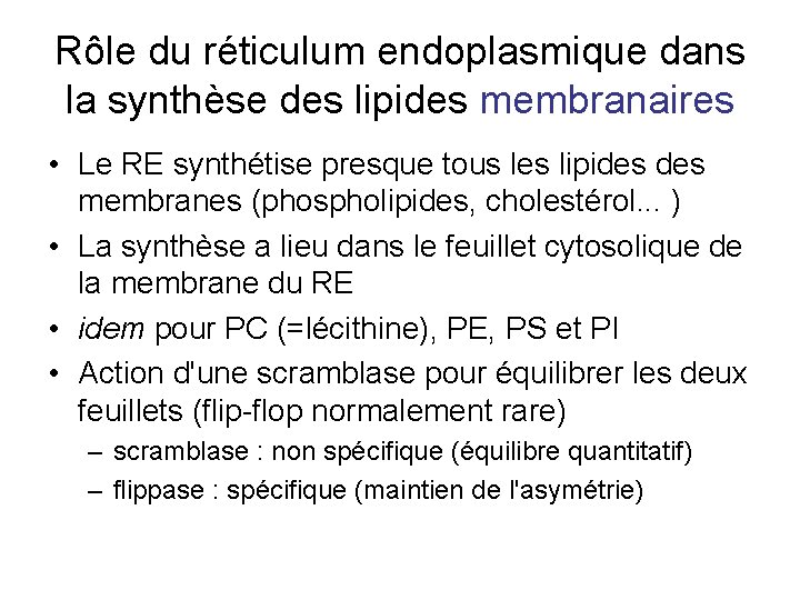 Rôle du réticulum endoplasmique dans la synthèse des lipides membranaires • Le RE synthétise