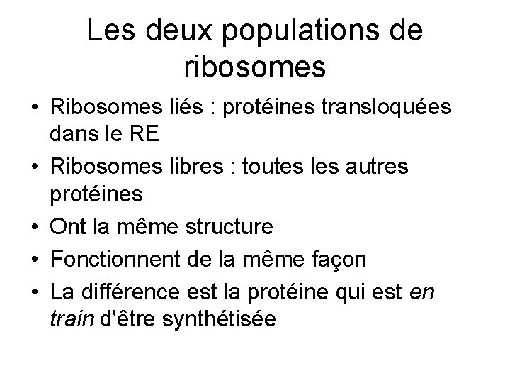 Les deux populations de ribosomes • Ribosomes liés : protéines transloquées dans le RE