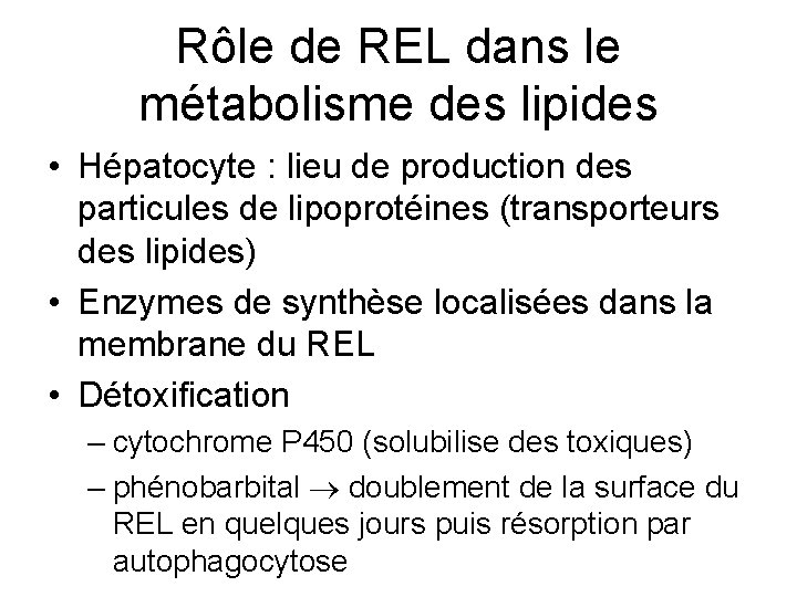 Rôle de REL dans le métabolisme des lipides • Hépatocyte : lieu de production