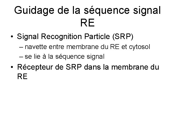 Guidage de la séquence signal RE • Signal Recognition Particle (SRP) – navette entre