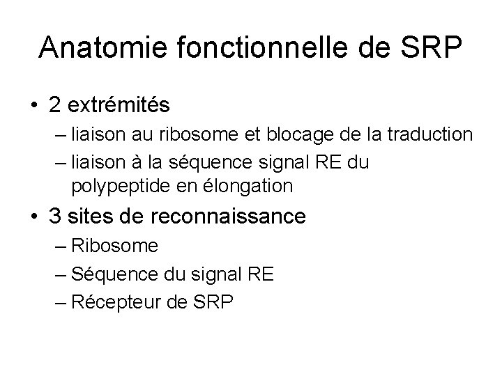 Anatomie fonctionnelle de SRP • 2 extrémités – liaison au ribosome et blocage de