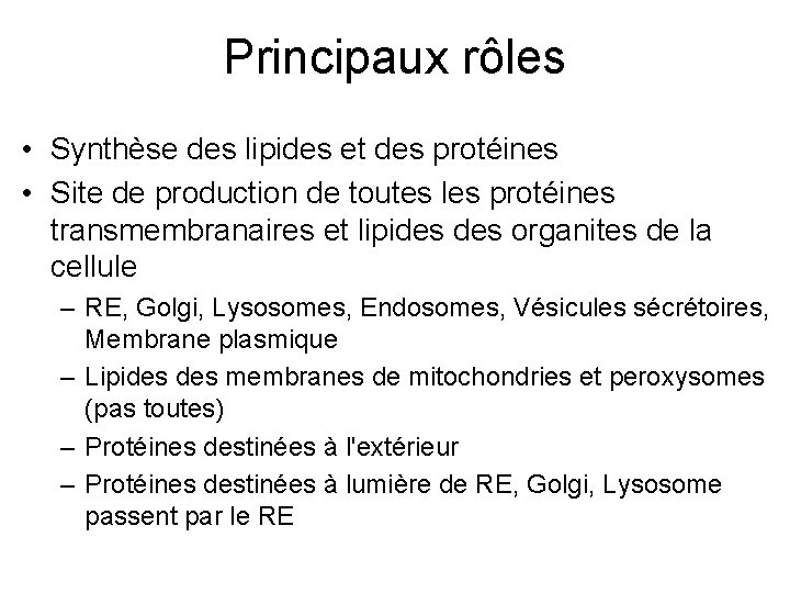 Principaux rôles • Synthèse des lipides et des protéines • Site de production de