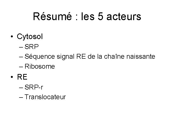 Résumé : les 5 acteurs • Cytosol – SRP – Séquence signal RE de