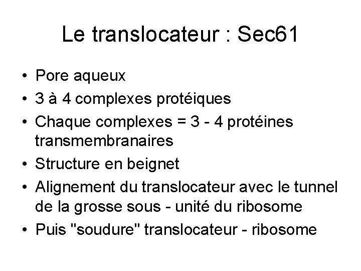 Le translocateur : Sec 61 • Pore aqueux • 3 à 4 complexes protéiques