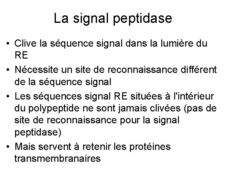 La signal peptidase • Clive la séquence signal dans la lumière du RE •