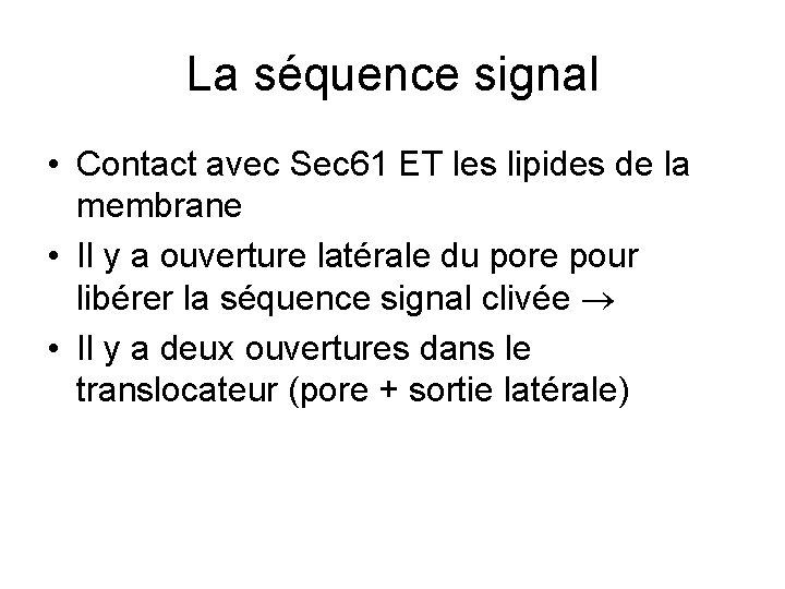 La séquence signal • Contact avec Sec 61 ET les lipides de la membrane