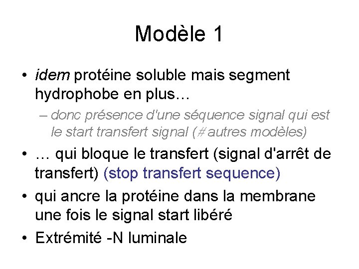 Modèle 1 • idem protéine soluble mais segment hydrophobe en plus… – donc présence