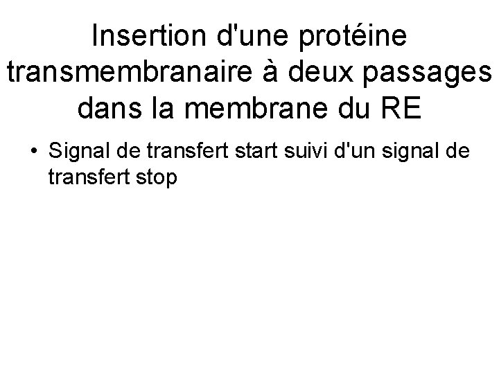 Insertion d'une protéine transmembranaire à deux passages dans la membrane du RE • Signal