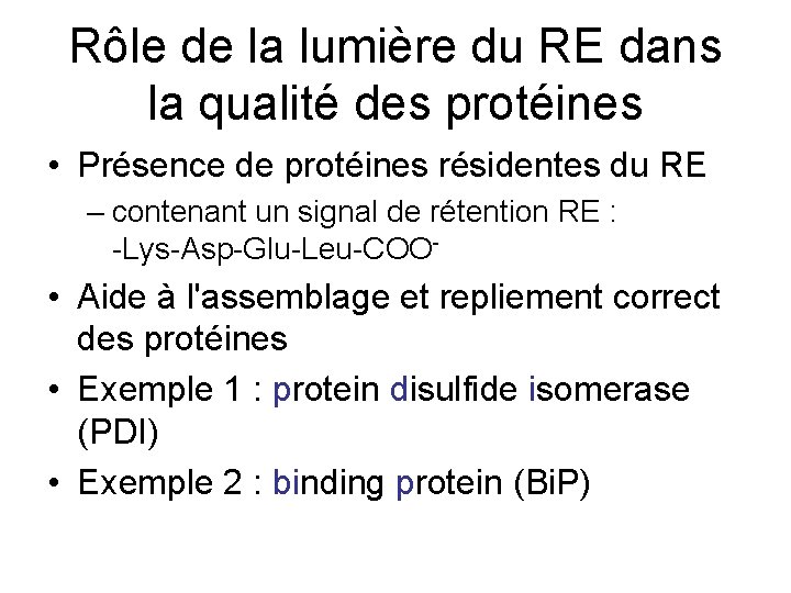 Rôle de la lumière du RE dans la qualité des protéines • Présence de