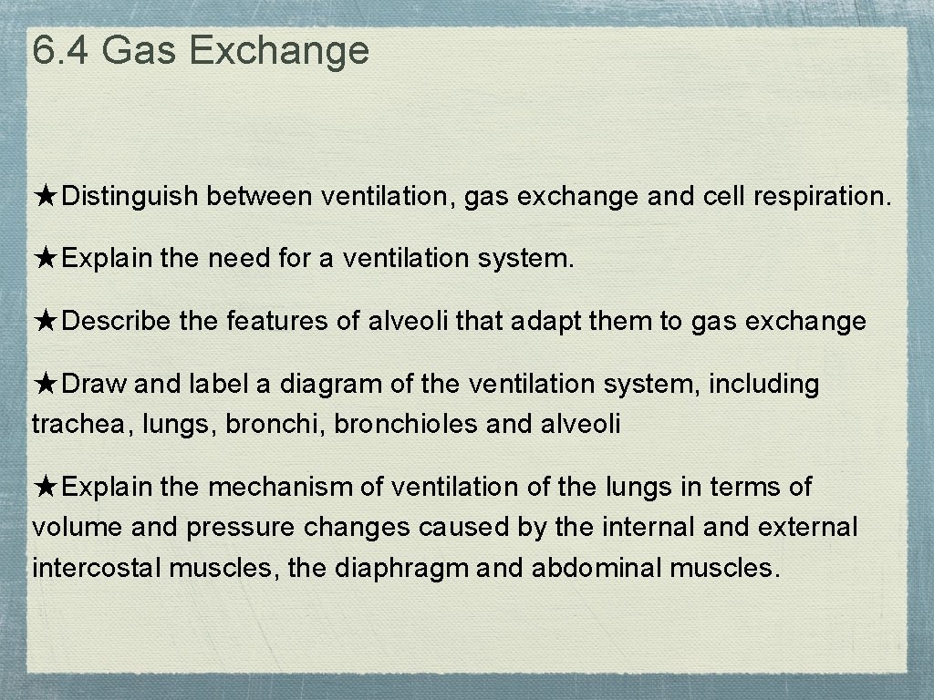6. 4 Gas Exchange ★Distinguish between ventilation, gas exchange and cell respiration. ★Explain the