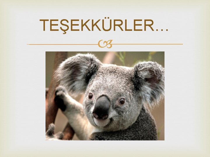 TEŞEKKÜRLER… 