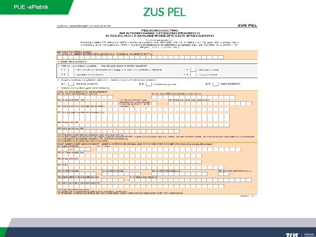 PUE -e. Płatnik ZUS PEL 