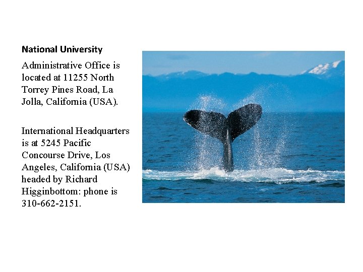 National University Administrative Office is located at 11255 North Torrey Pines Road, La Jolla,