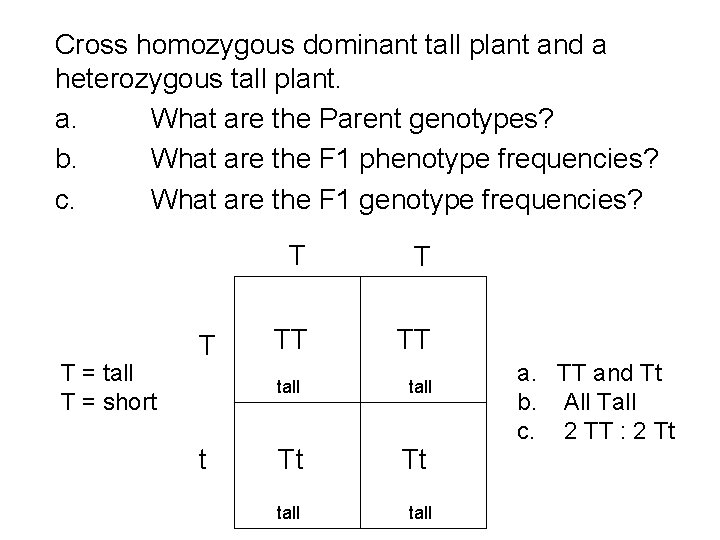 Cross homozygous dominant tall plant and a heterozygous tall plant. a. What are the