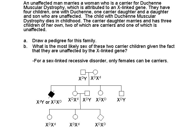 An unaffected man marries a woman who is a carrier for Duchenne Muscular Dystrophy,