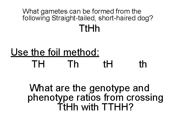 What gametes can be formed from the following Straight-tailed, short-haired dog? Tt. Hh Use