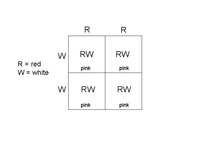 R = red W = white W W R R RW RW pink 