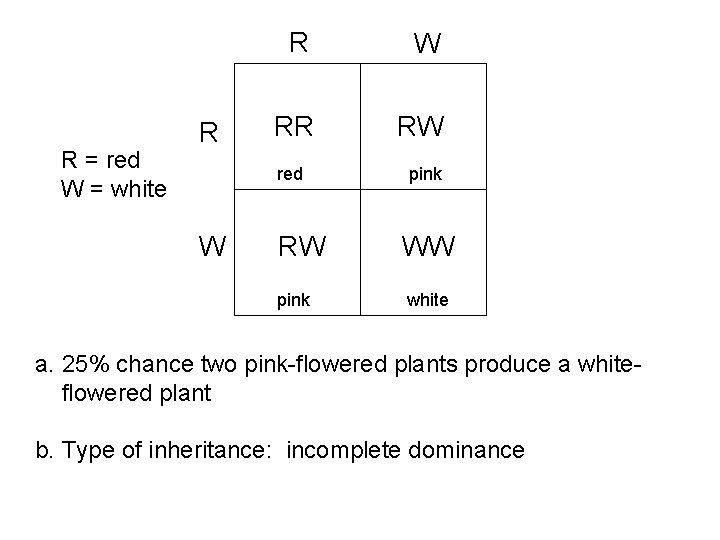 R = red W = white R W RR RW red pink RW WW