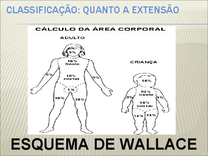 CLASSIFICAÇÃO: QUANTO A EXTENSÃO ESQUEMA DE WALLACE 