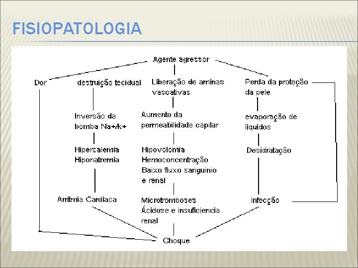 FISIOPATOLOGIA 