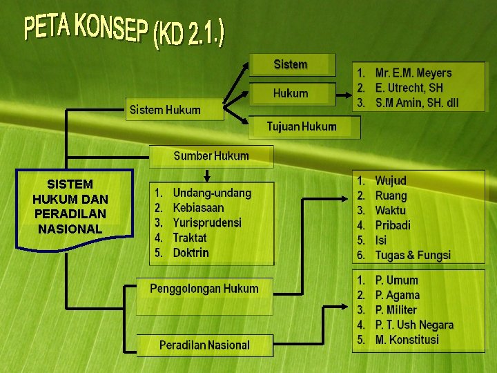 SISTEM HUKUM DAN PERADILAN NASIONAL 