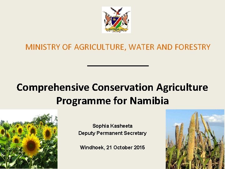 MINISTRY OF AGRICULTURE, WATER AND FORESTRY ______ Comprehensive Conservation Agriculture Programme for Namibia Sophia