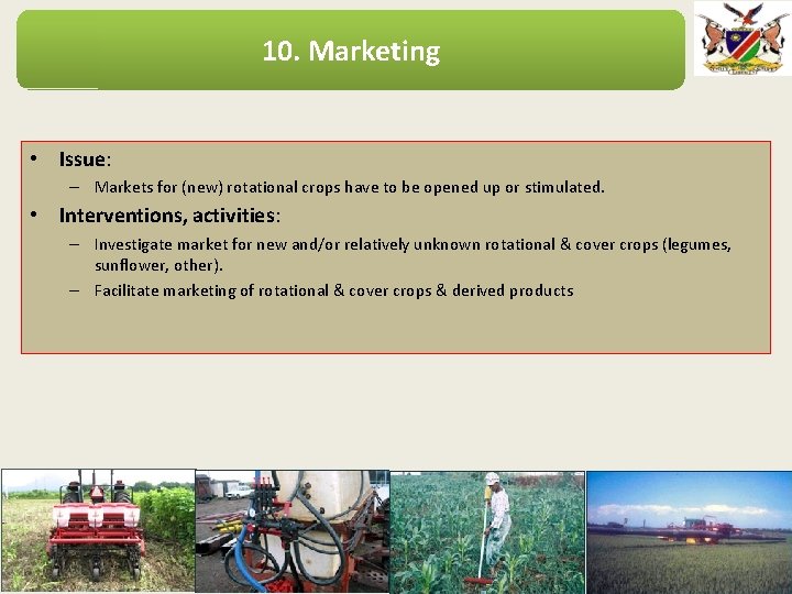 10. Marketing • Issue: – Markets for (new) rotational crops have to be opened