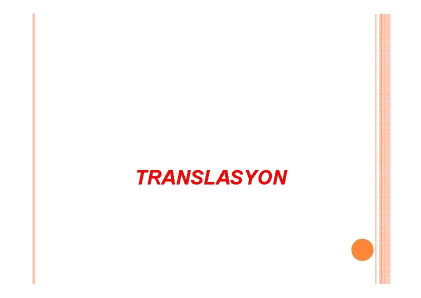 TRANSLASYON TRANSLASYON