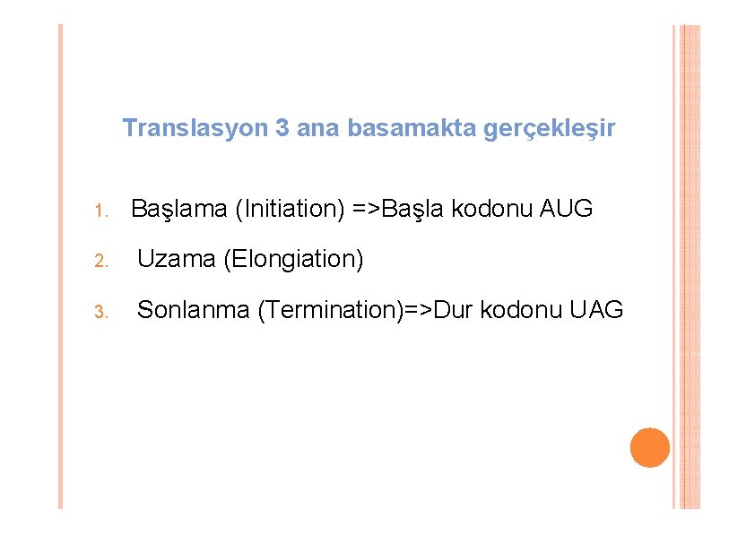 Translasyon 3 ana basamakta gerçekleşir 1. Başlama (Initiation) =>Başla kodonu AUG 2. Uzama (Elongiation) Translasyon 3 ana basamakta gerçekleşir 1. Başlama (Initiation) =>Başla kodonu AUG 2. Uzama (Elongiation)