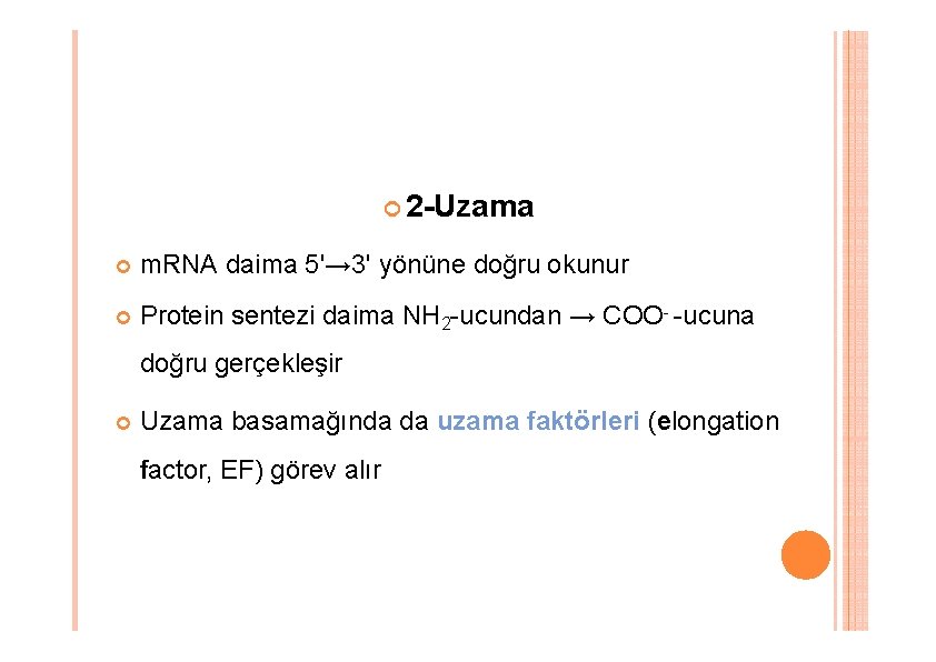 2 -Uzama m. RNA daima 5'→ 3' yönüne doğru okunur Protein sentezi daima 2 -Uzama m. RNA daima 5'→ 3' yönüne doğru okunur Protein sentezi daima