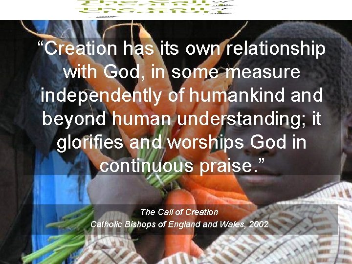 “Creation has its own relationship with God, in some measure independently of humankind and