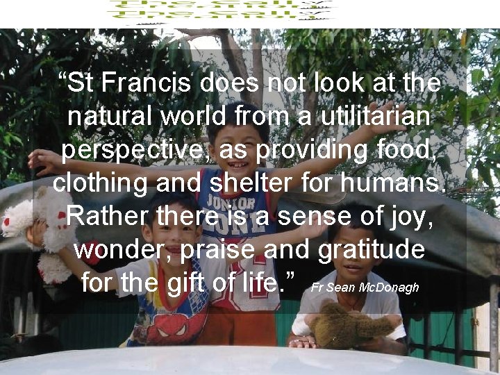 “St Francis does not look at the natural world from a utilitarian perspective, as