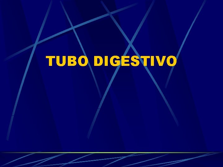 TUBO DIGESTIVO 