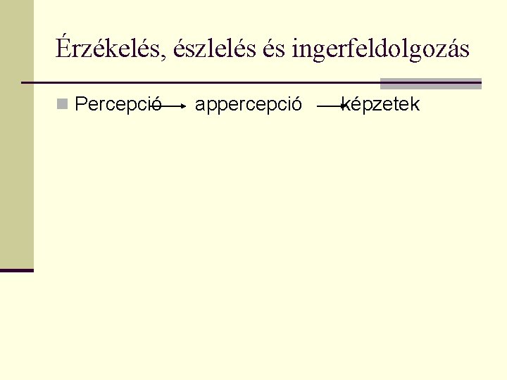 Érzékelés, észlelés és ingerfeldolgozás n Percepció appercepció képzetek 