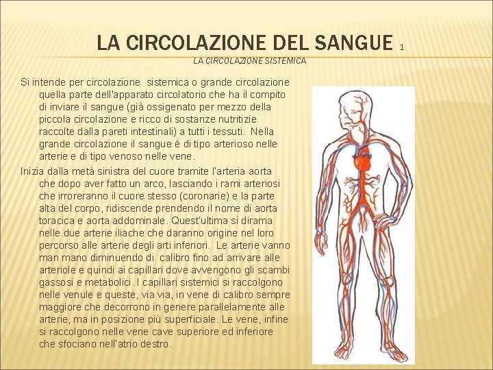 LA CIRCOLAZIONE DEL SANGUE 1 LA CIRCOLAZIONE SISTEMICA Si intende per circolazione sistemica o