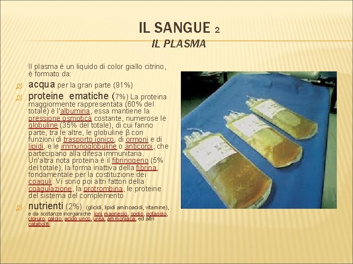 IL SANGUE 2 IL PLASMA Il plasma è un liquido di color giallo citrino,