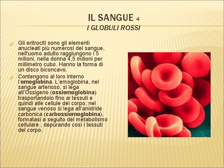 IL SANGUE 4 I GLOBULI ROSSI Gli eritrociti sono gli elementi anucleati più numerosi