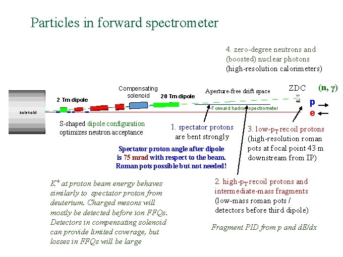 Particles in forward spectrometer 4. zero-degree neutrons and (boosted) nuclear photons (high-resolution calorimeters) 2