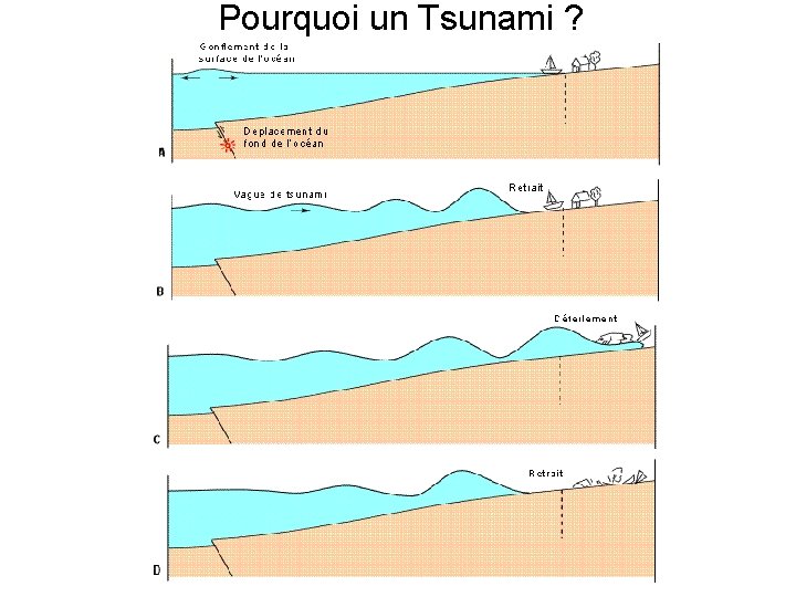 Pourquoi un Tsunami ? 